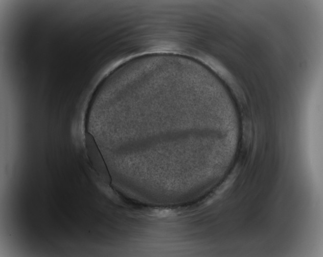 X0000087561230200705251753