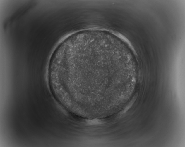 X0000087561231200705251753
