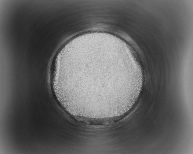X0000087561232200705251753