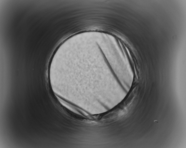 X0000087561234200705251754