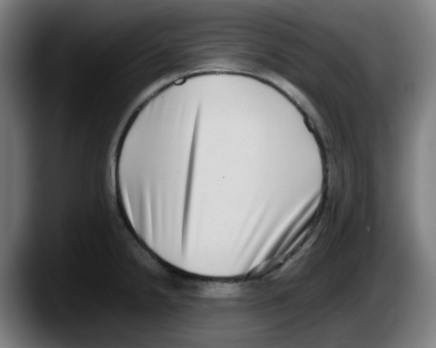 X0000087561238200705251754