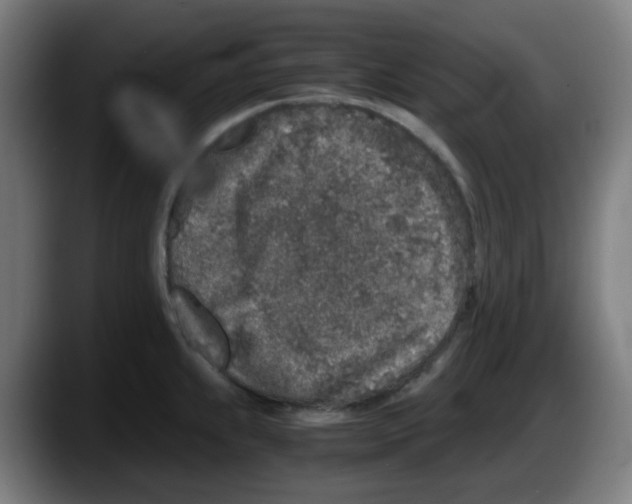 X0000087561239200705251754