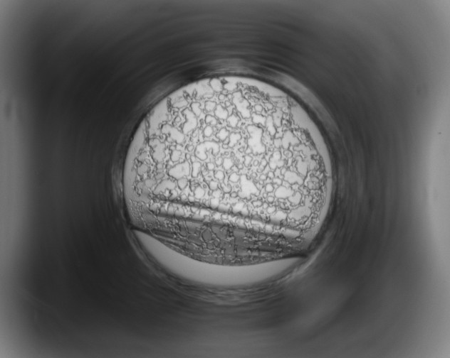 X0000087561241200705251754