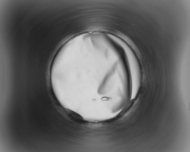 X0000087561242200705251754