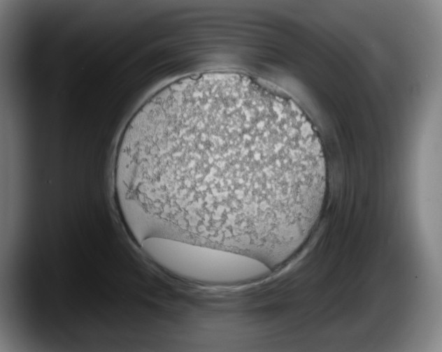 X0000087561244200705251754