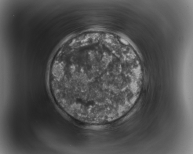 X0000087561245200705251754