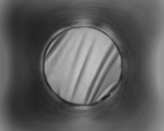 X0000087561246200705251754