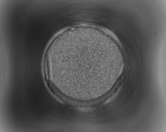 X0000087561247200705251754