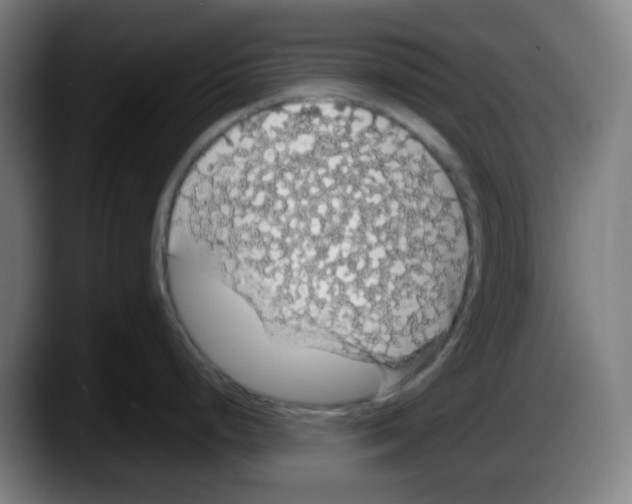 X0000087561248200705251754