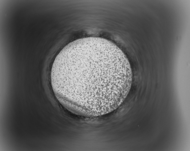 X0000087561249200705251753