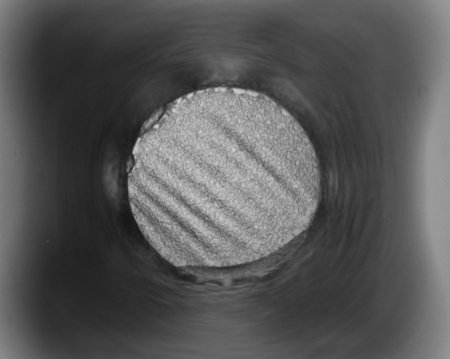 X0000087561250200705251753