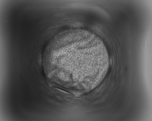 X0000087561251200705251753