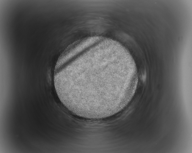 X0000087561252200705251753