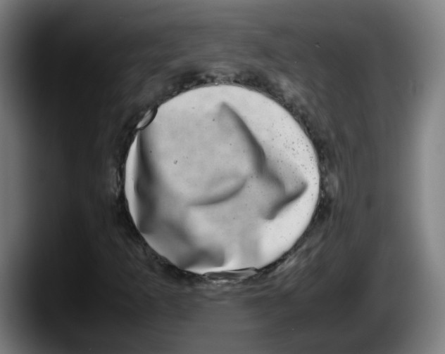X0000087561253200705251753
