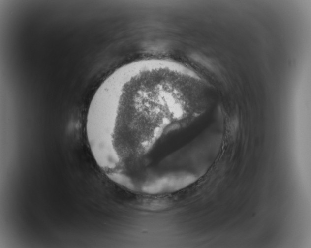 X0000087561254200705251753