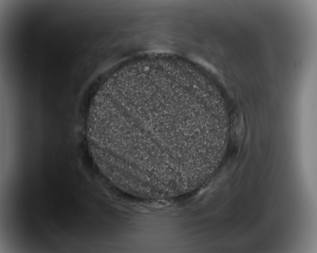 X0000087561255200705251753