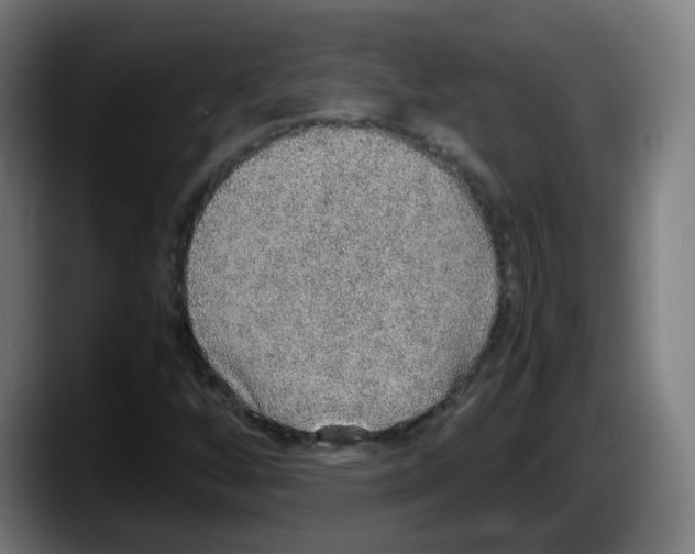 X0000087561256200705251753