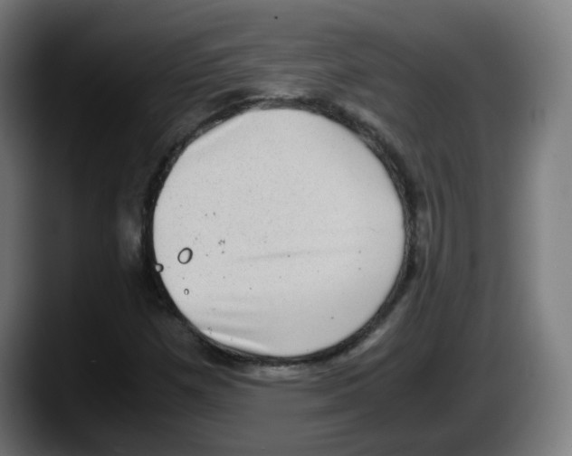 X0000087561257200705251753
