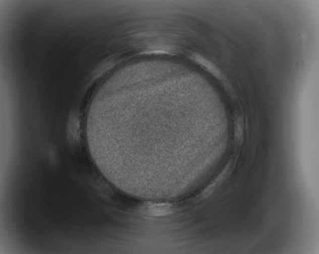 X0000087561258200705251753