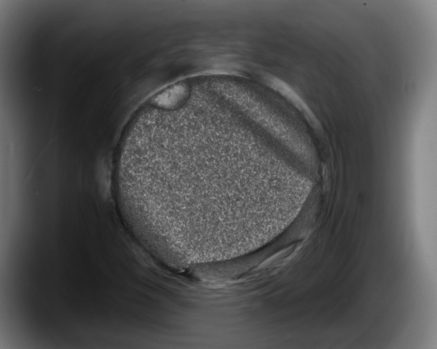 X0000087561260200705251753