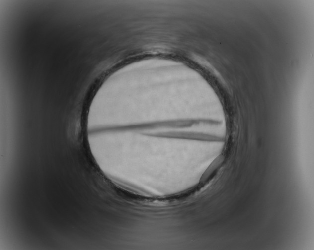 X0000087561261200705251753