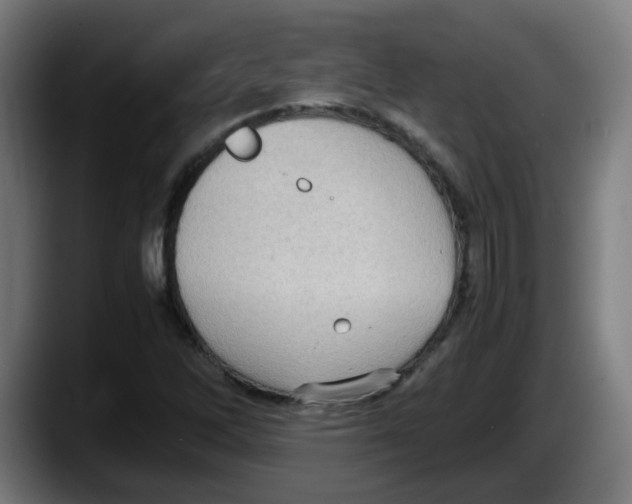 X0000087561262200705251753