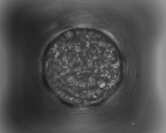 X0000087561263200705251753