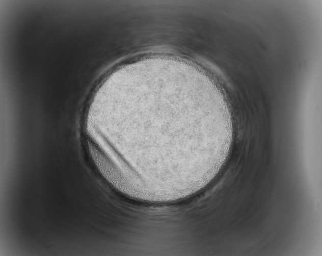 X0000087561264200705251753
