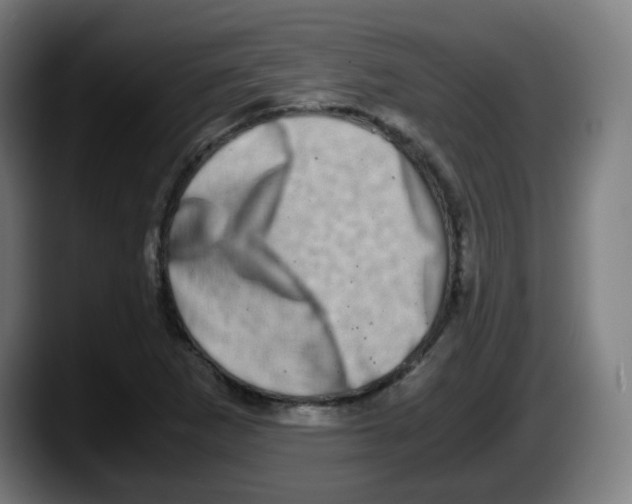X0000087561265200705251753