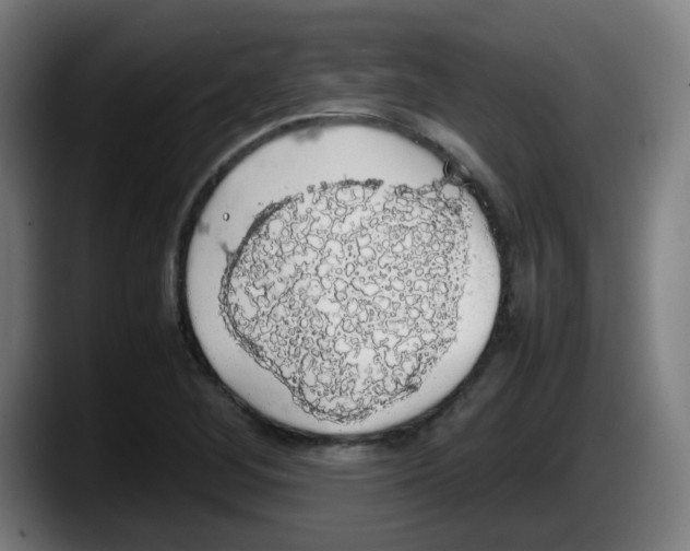 X0000087561268200705251753