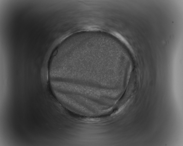 X0000087561269200705251753
