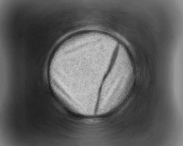 X0000087561272200705251753