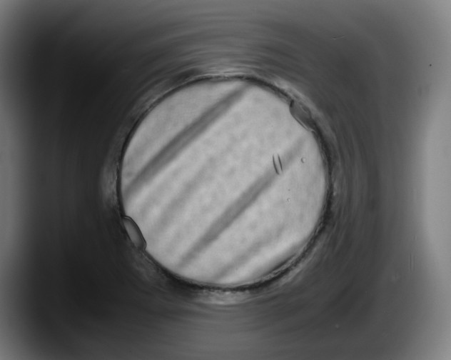 X0000087561273200705251753
