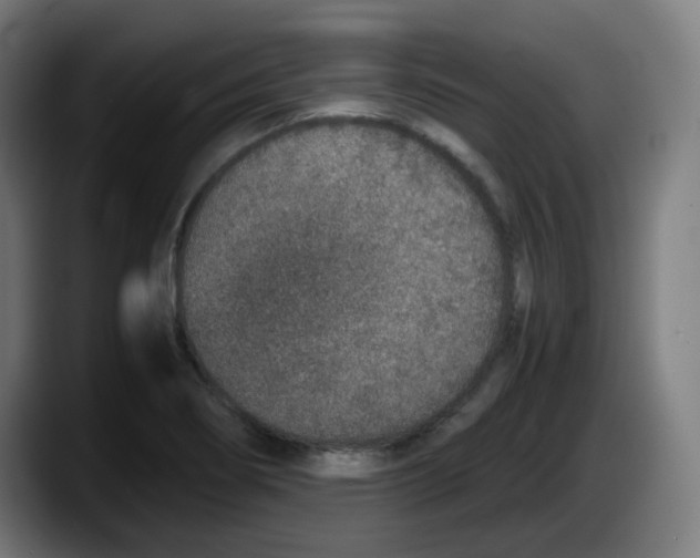 X0000087561274200705251753