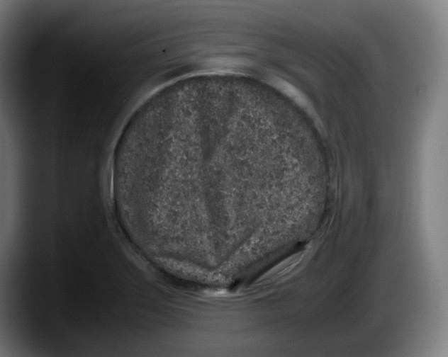 X0000087561275200705251753