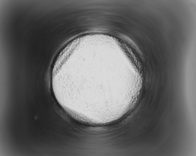 X0000087561276200705251753