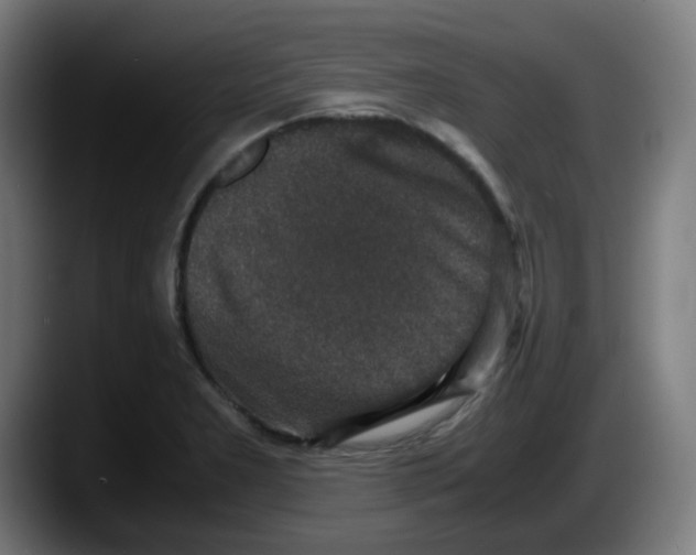 X0000087561277200705251753