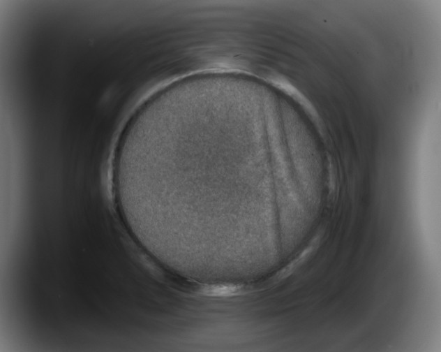 X0000087561278200705251753