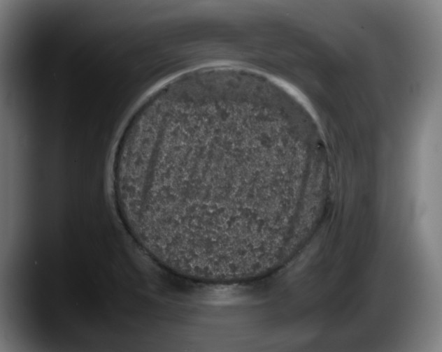 X0000087561279200705251753