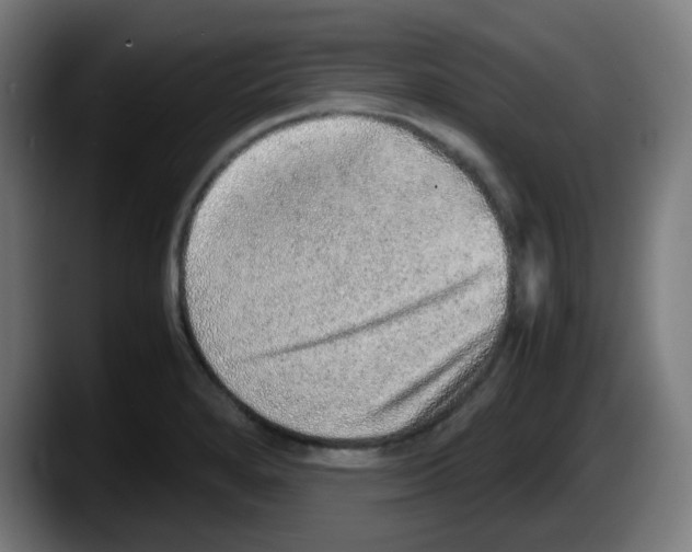 X0000087561280200705251753