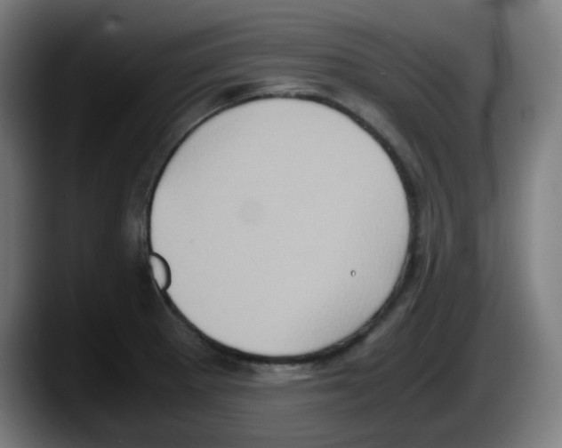X0000087561281200705251753