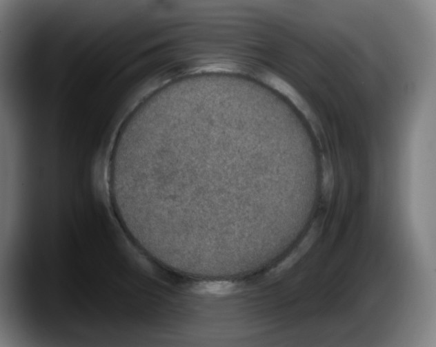 X0000087561282200705251753