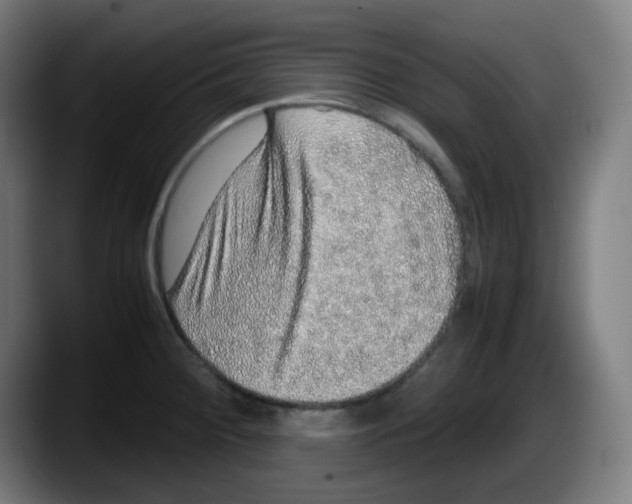 X0000087561284200705251753