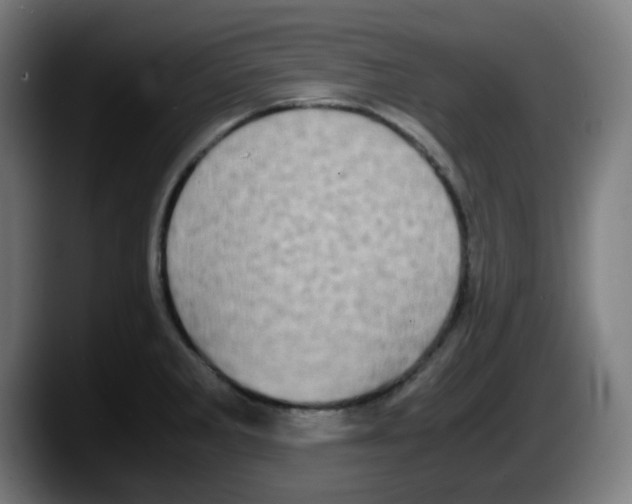 X0000087561285200705251753