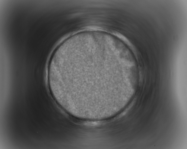 X0000087561286200705251753
