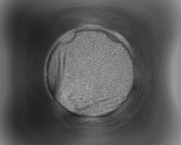 X0000087561287200705251753