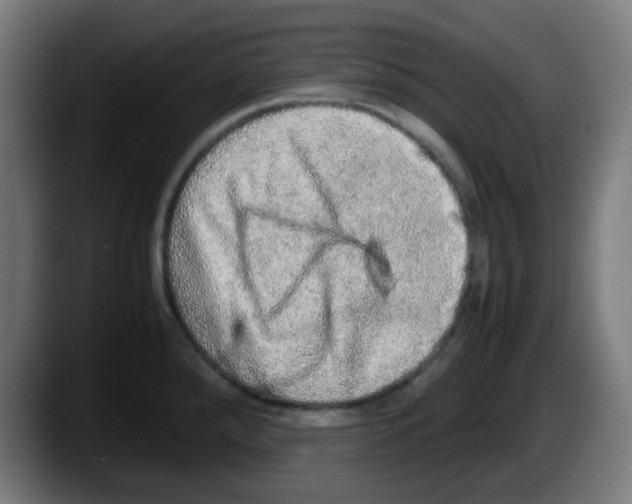 X0000087561288200705251753