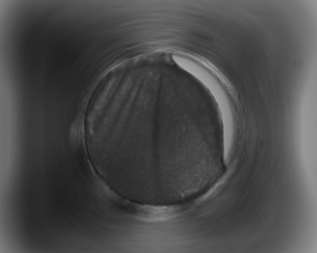 X0000087561289200705251753