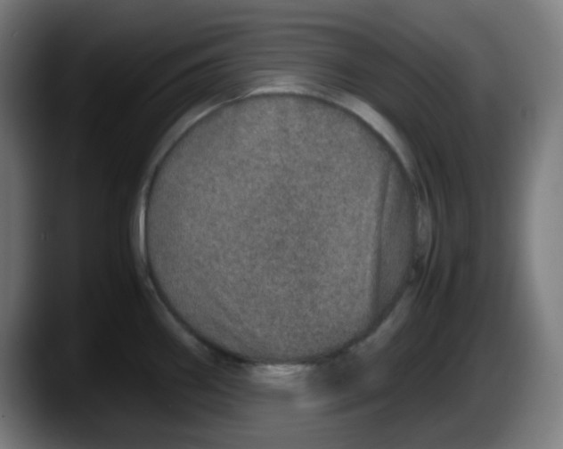 X0000087561290200705251753