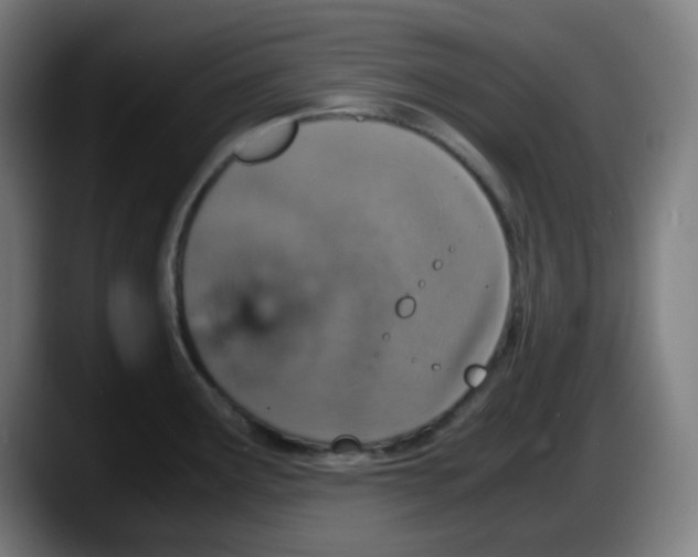 X0000087561291200705251753